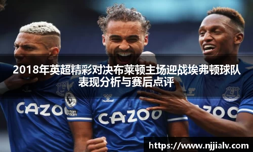 2018年英超精彩对决布莱顿主场迎战埃弗顿球队表现分析与赛后点评