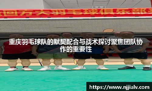 3377体育app