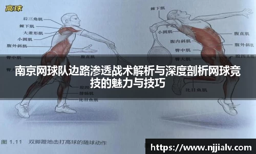 3377体育平台