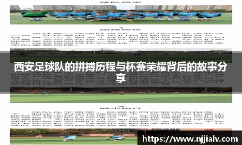3377体育官网